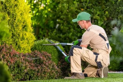 landscaping